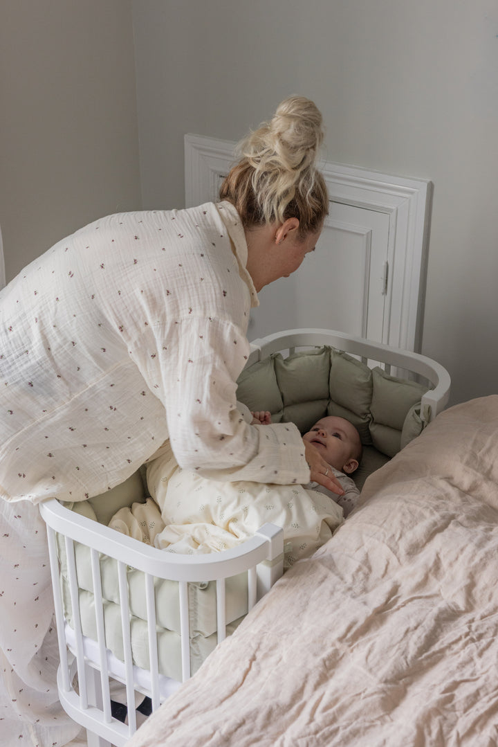 Sebra hjá-song, White