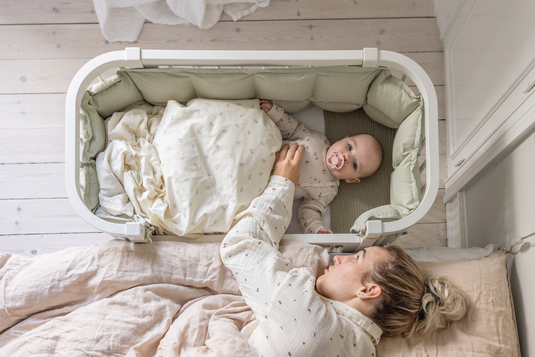 Sebra hjá-song, White