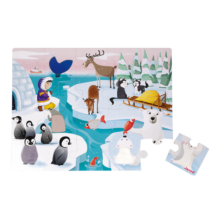 Tactile Puzzle, Life on the Ice
