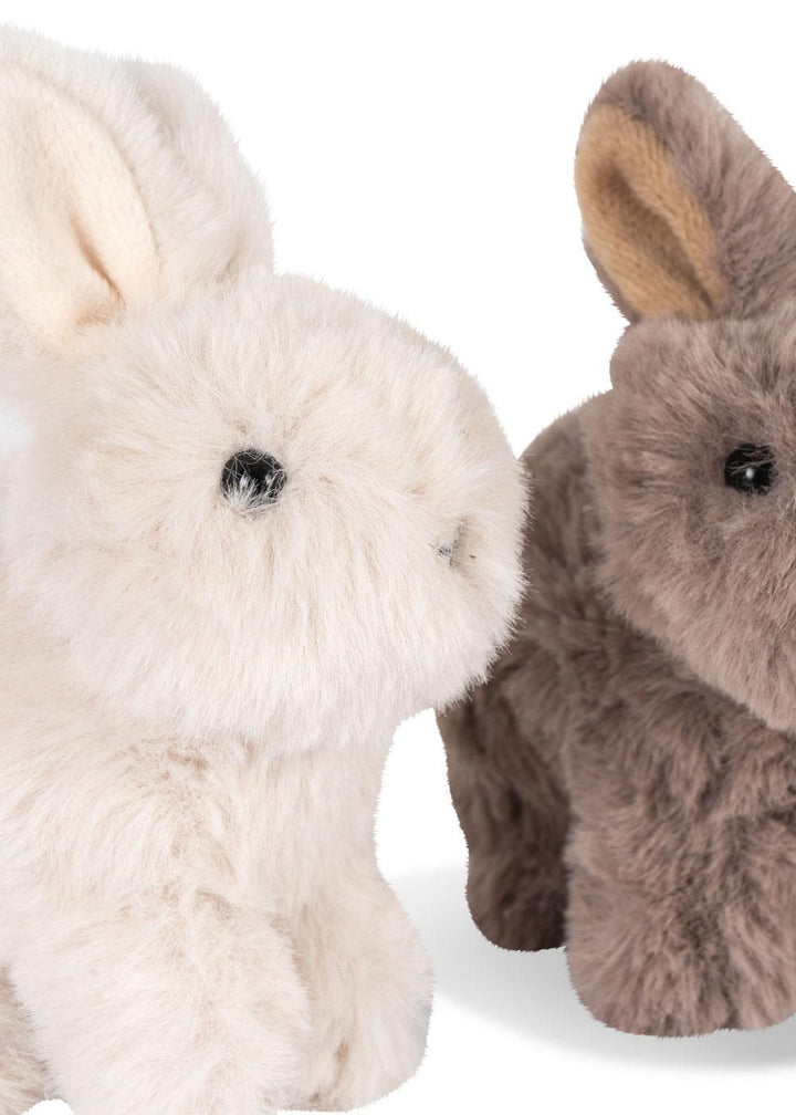 Bunny Love