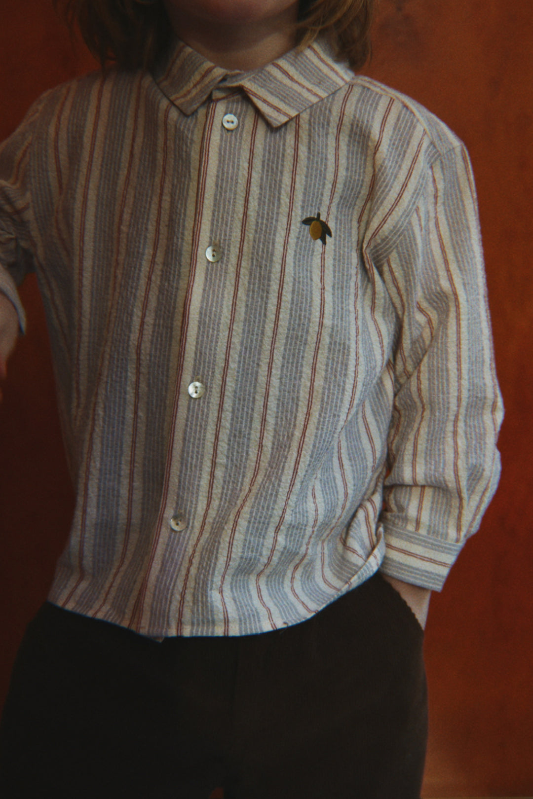 Elliot skjúrta, Tocororo Stripe