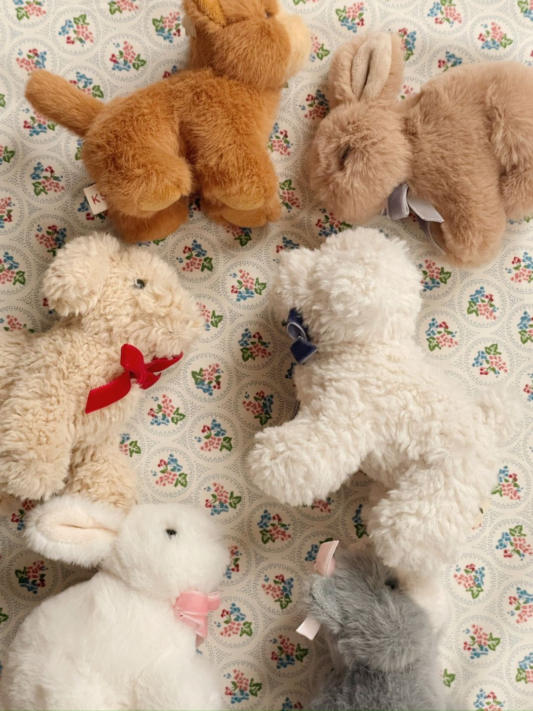 Baby Animal, Puppy