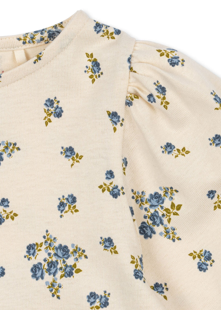 Drey blusa, Tramonto