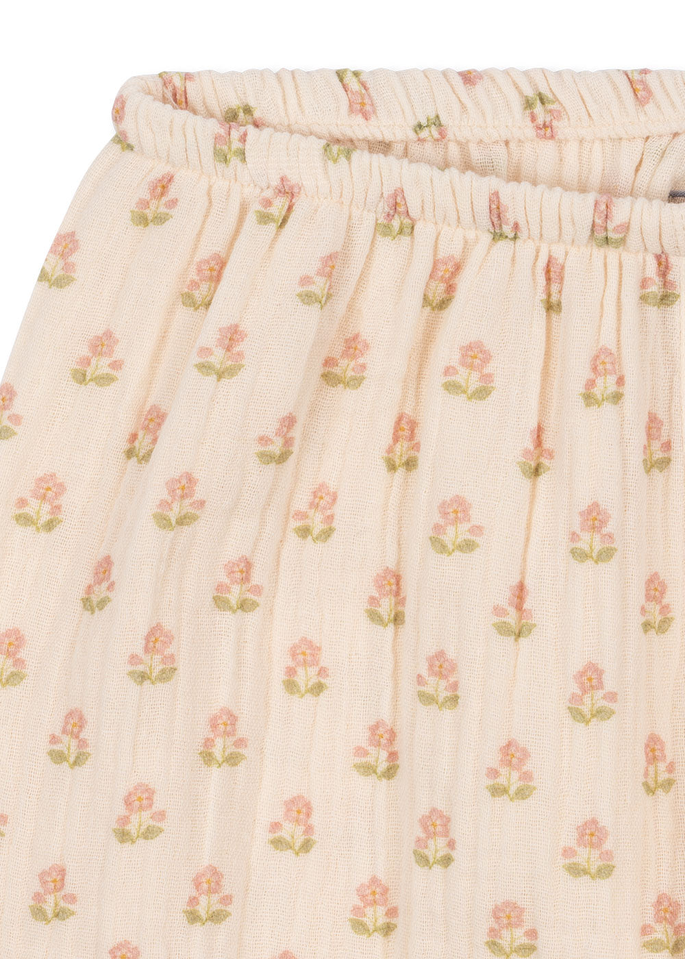 Coco buksur, Carta Rosa