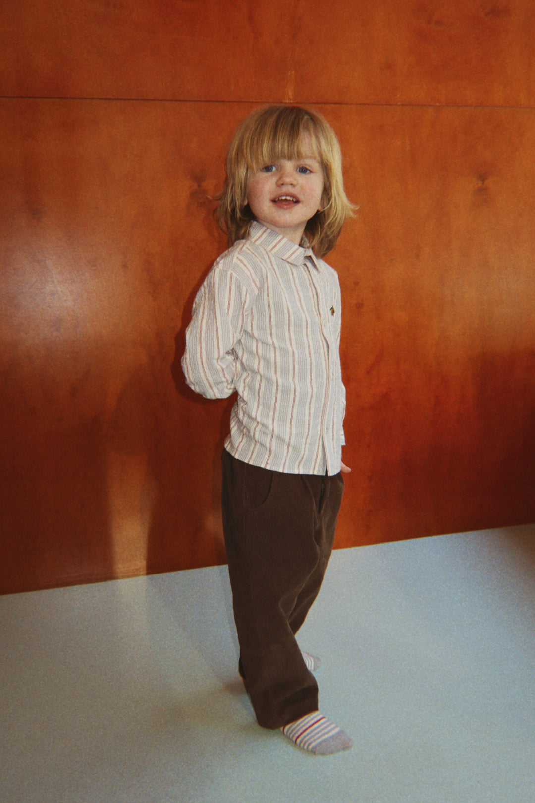 Elliot skjúrta, Tocororo Stripe