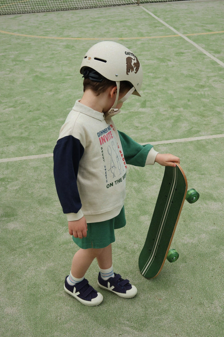 Skateboard, Cattitude