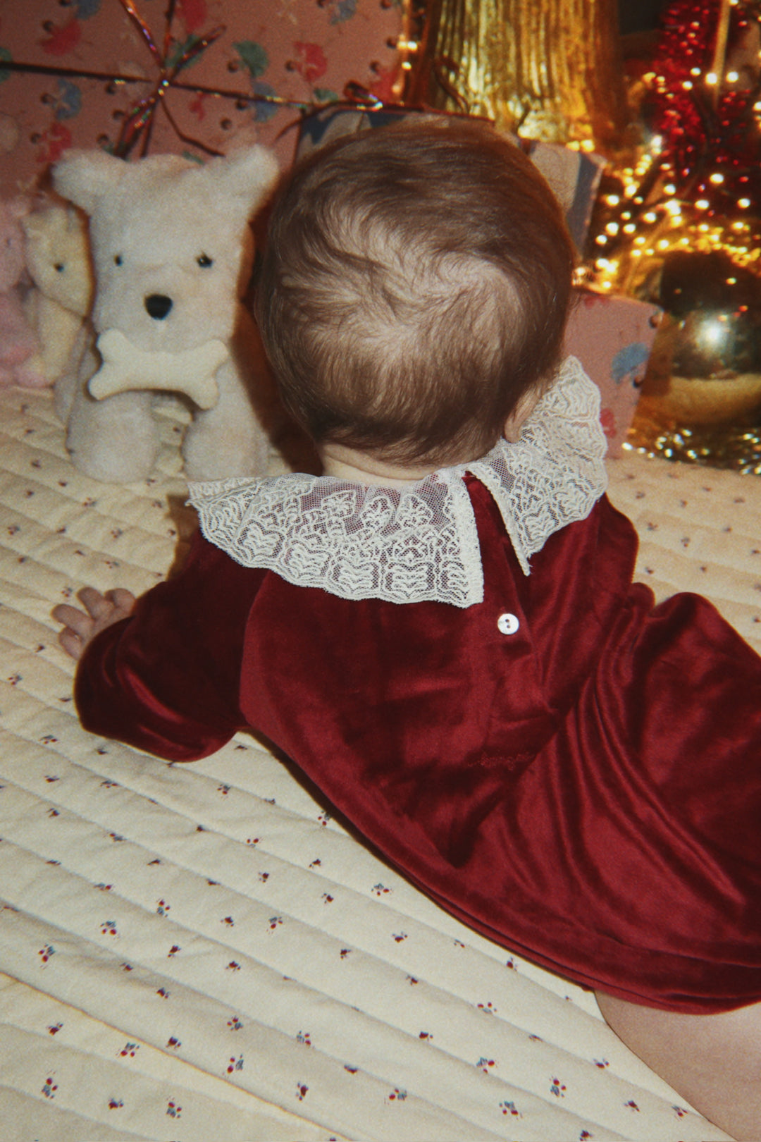 Venola body, Red Dahlia