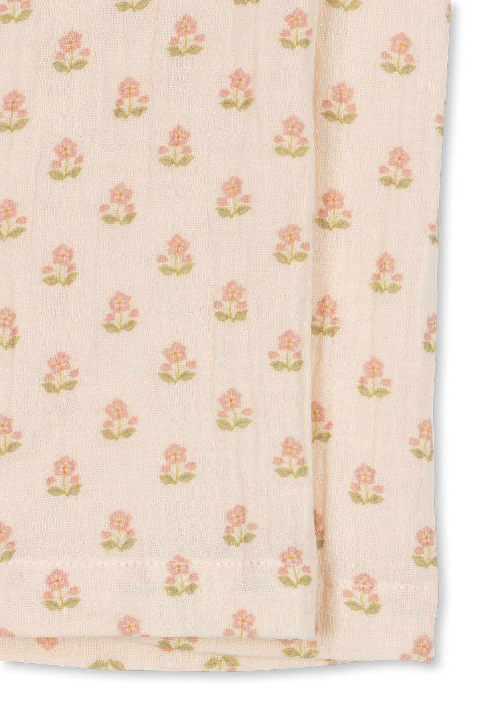 Coco buksur, Carta Rosa