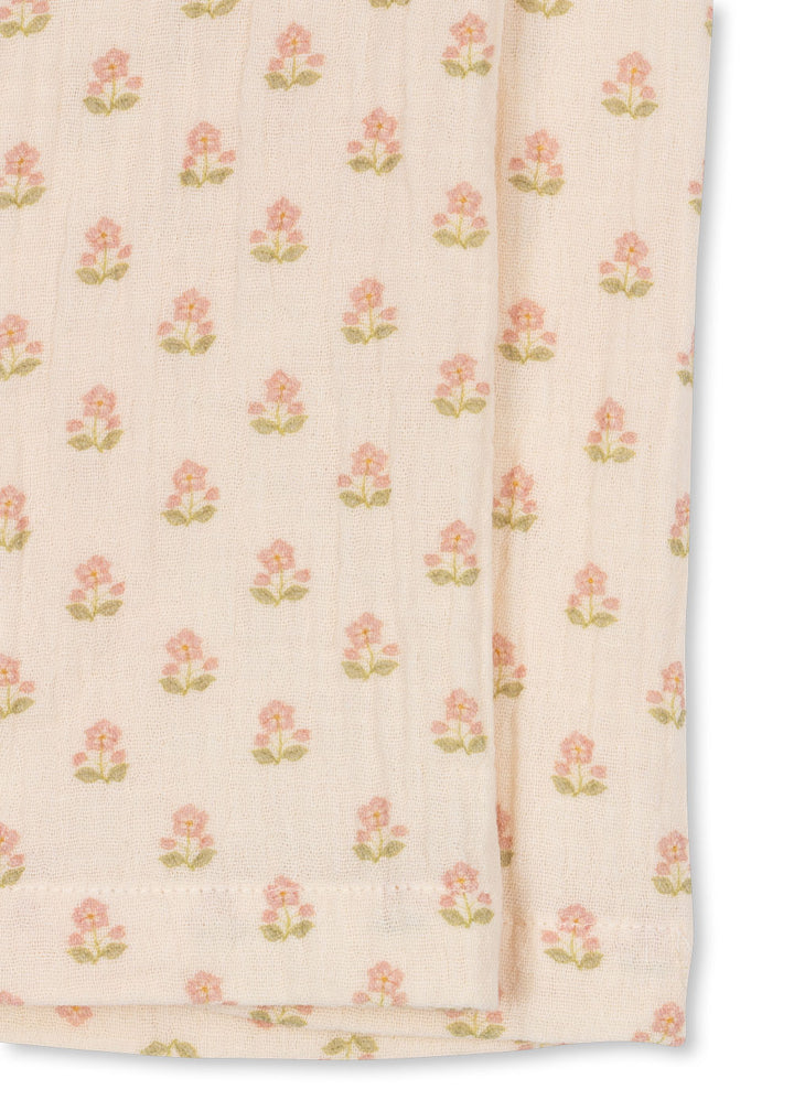 Coco buksur, Carta Rosa