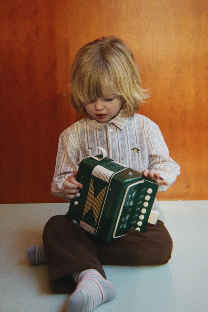 Elliot skjúrta, Tocororo Stripe
