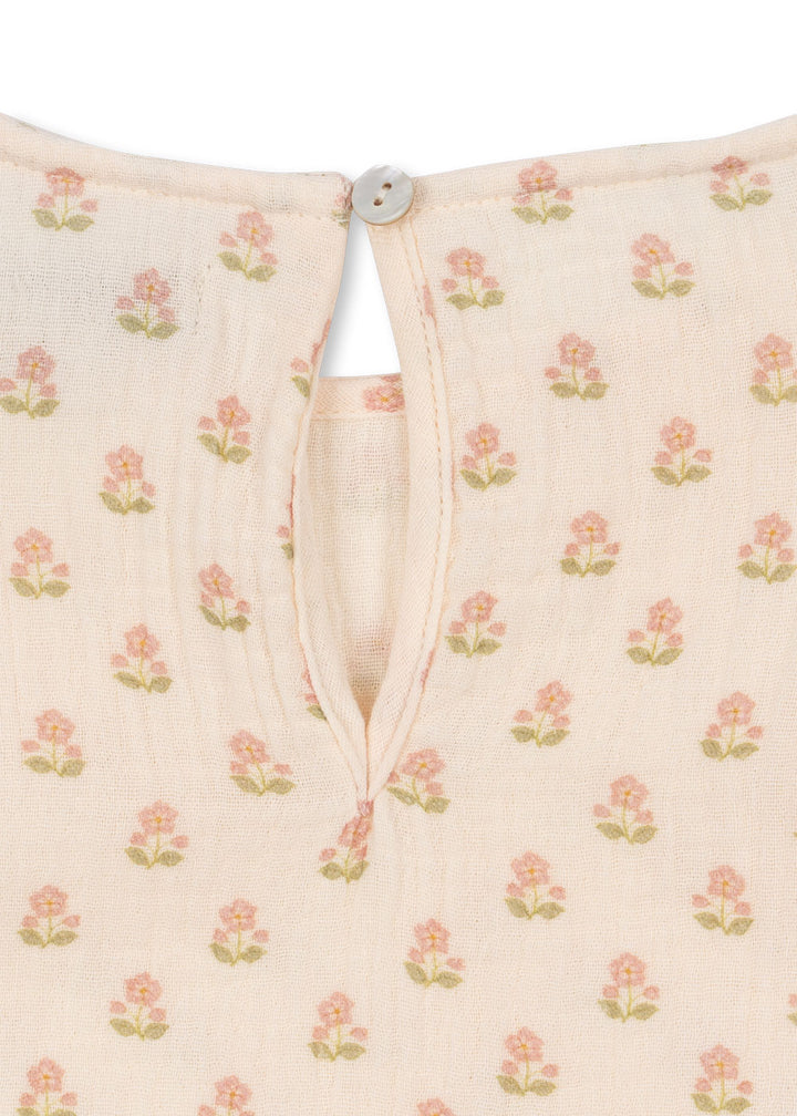 Coco toppur, Carta Rosa