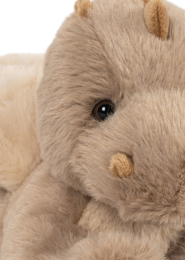 Teddy Dragon