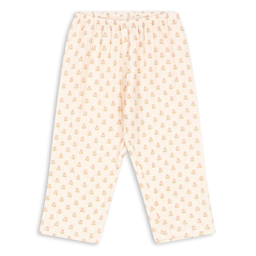 Coco buksur, Carta Rosa