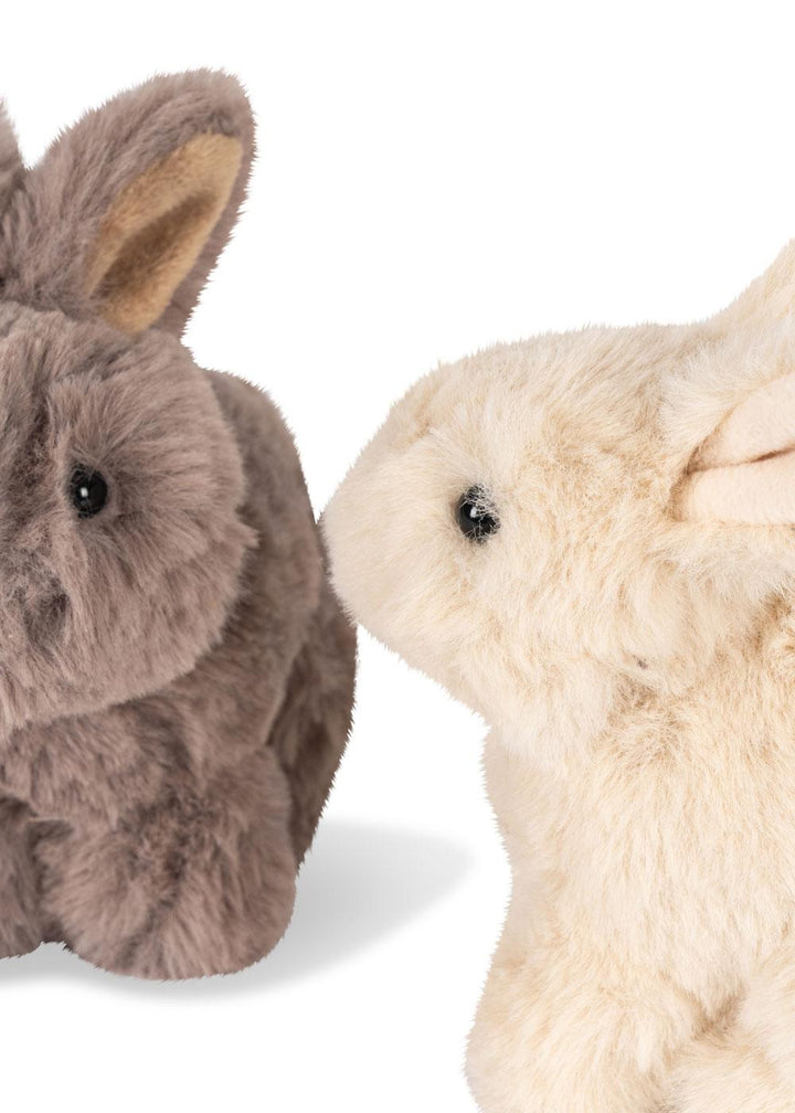 Bunny Love