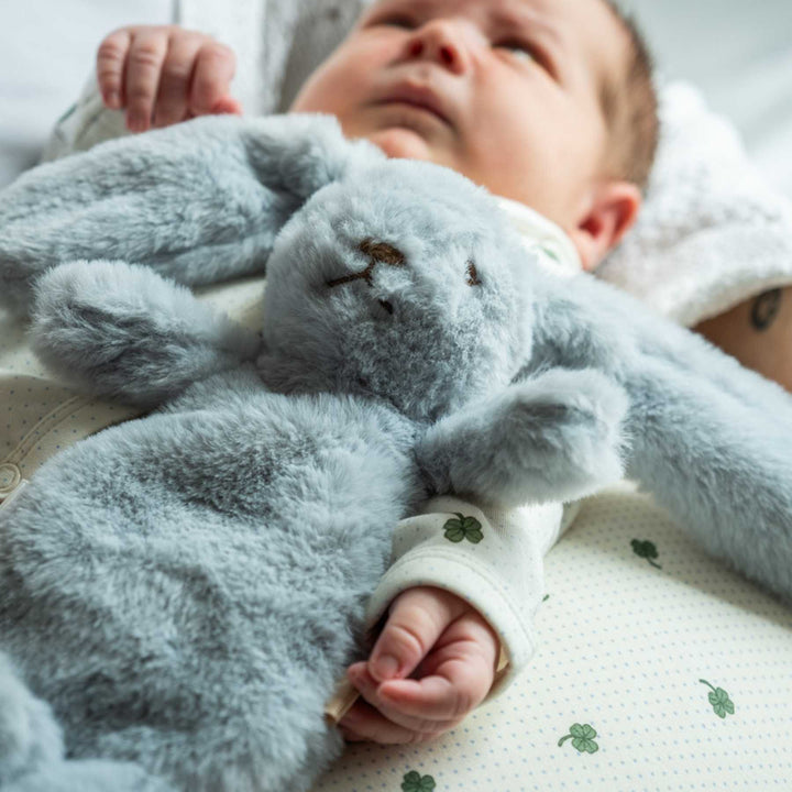 Houston tyngdarbamsa, Mini