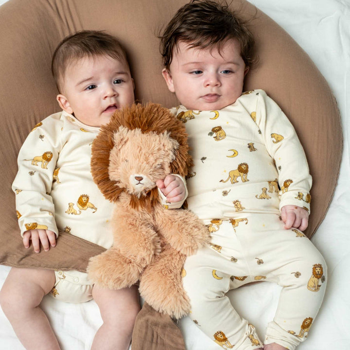 Houston tyngdarbamsa