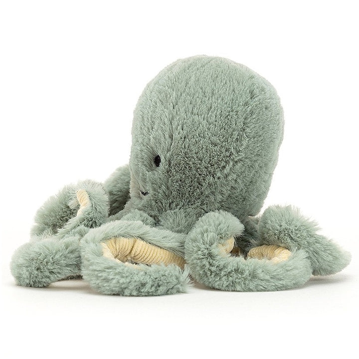 Odyssey Octopus, Tiny